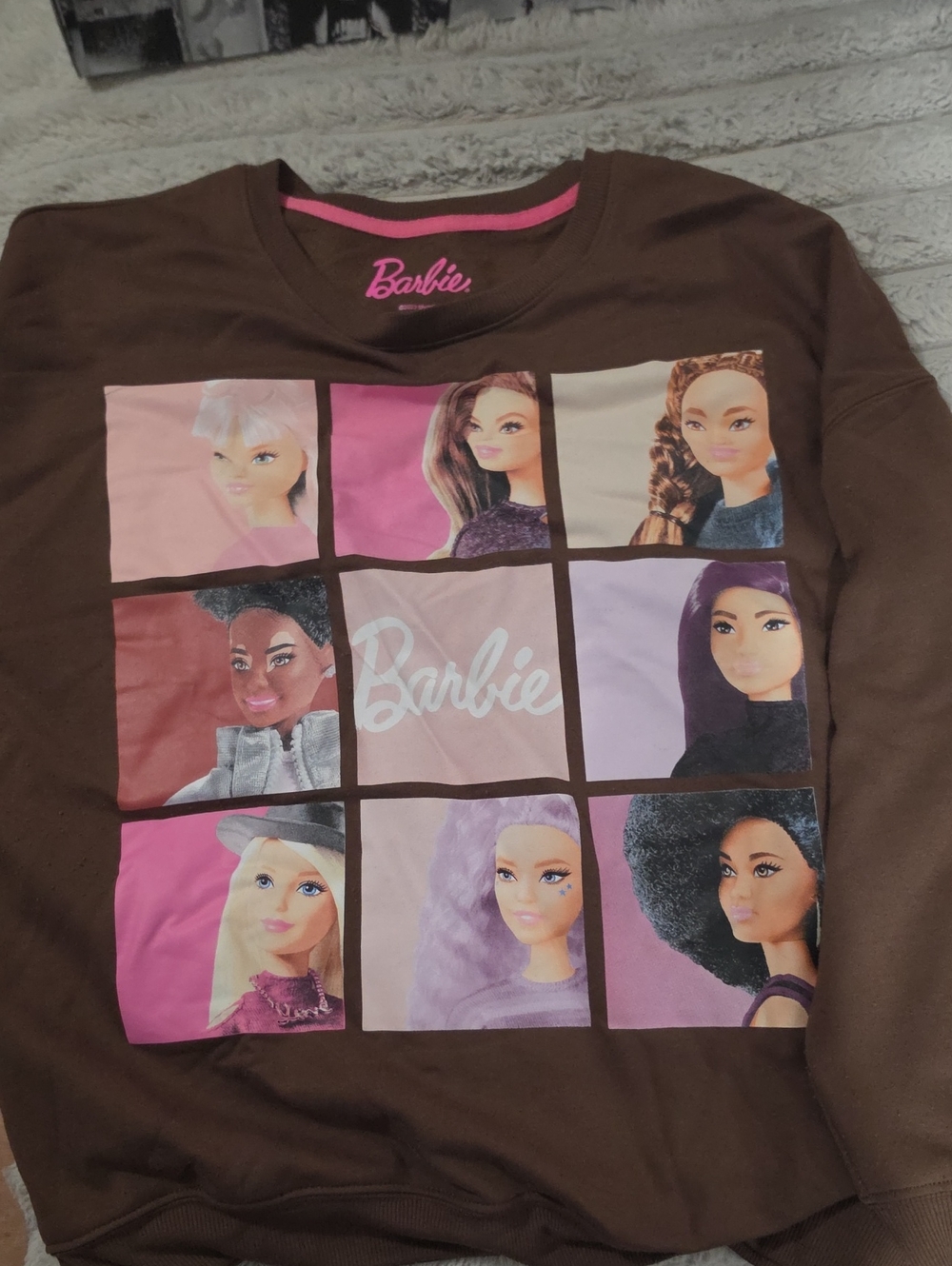 Barbie Brown Graphic Sweatshirt with Pink and Pastel Doll Panels